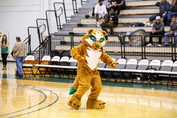 BearCat mascot custom design Vinny COllege University