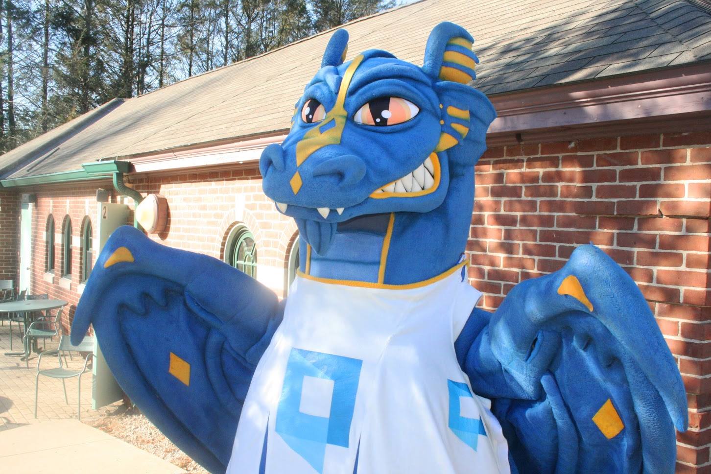 A mascot costume