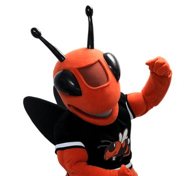 Alvin Yellowjacket Custom Mascot