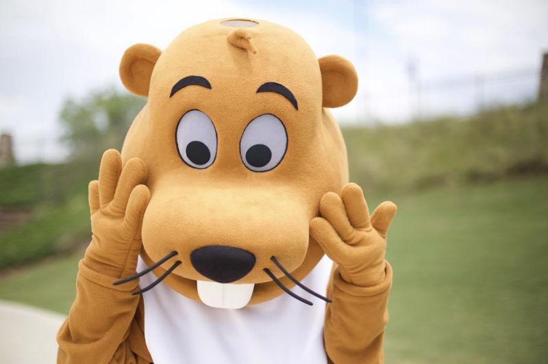 4 Tips for Designing the Perfect Mascot