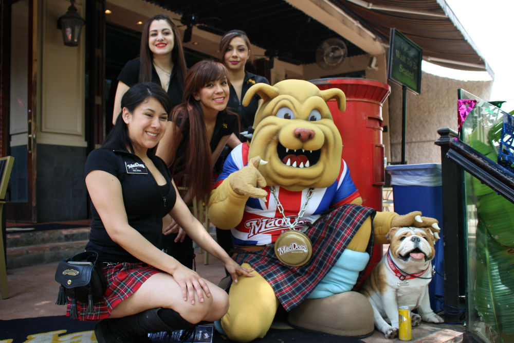 MadDogs British bull dog mascot