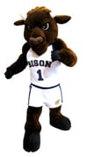 Gallaudet University Bison small j.jpg Gallaudet University Bison small j.jpg
