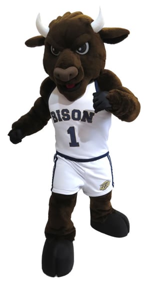 University Bison Custom Mascot