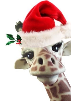 BAM Mascot's Holiday Giraffe