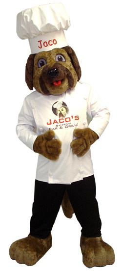 Bam Mascot Jaco Finished Costume