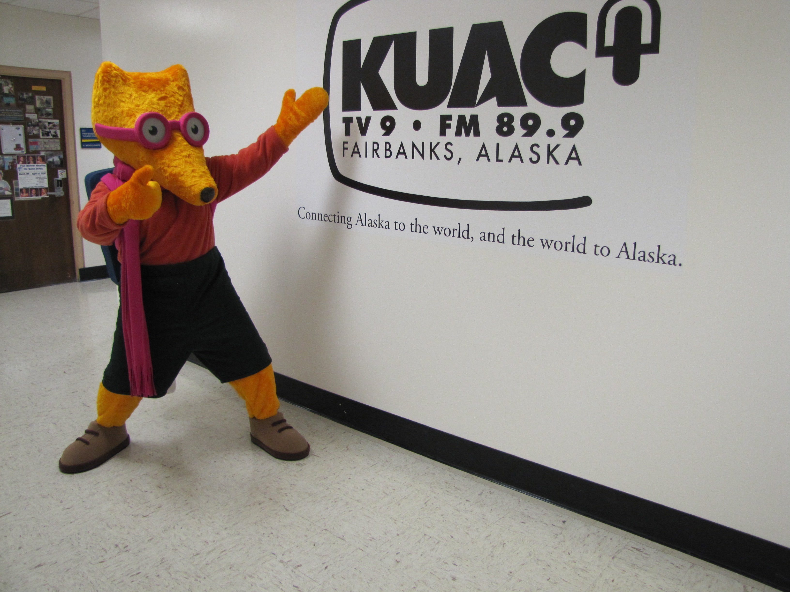 KUAC Kitt the Fox