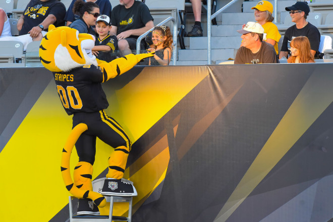 Stripes Hamilton Tiger Cats Football Mascot