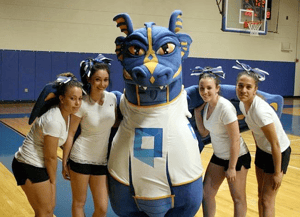 custom designed mascot - school mascot