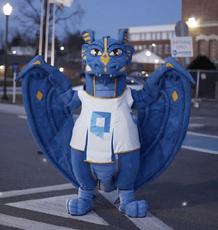 Dragon Mascot - custom designed mascot