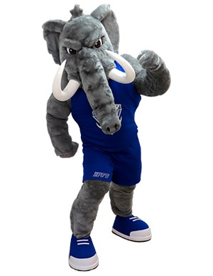 IPFW-Mastadon-creation.jpg