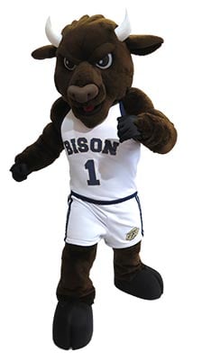 Custom Designed Basketball Team Mascot