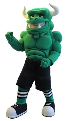 Custom Designed Baseball Team Mascots