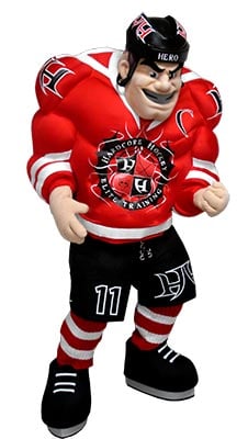 Custom Designed Hockey Team Mascots