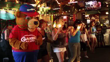 Custom mascot costumes for parties and more!