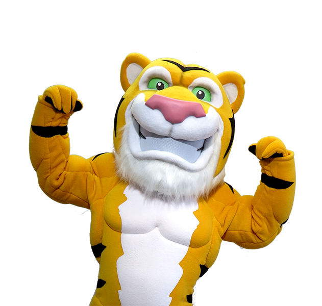 Hamilton Tiger Cats Mascot Creation