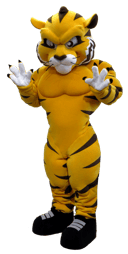 The Al-Ittihad Football Club Mascot in Saudi Arabia