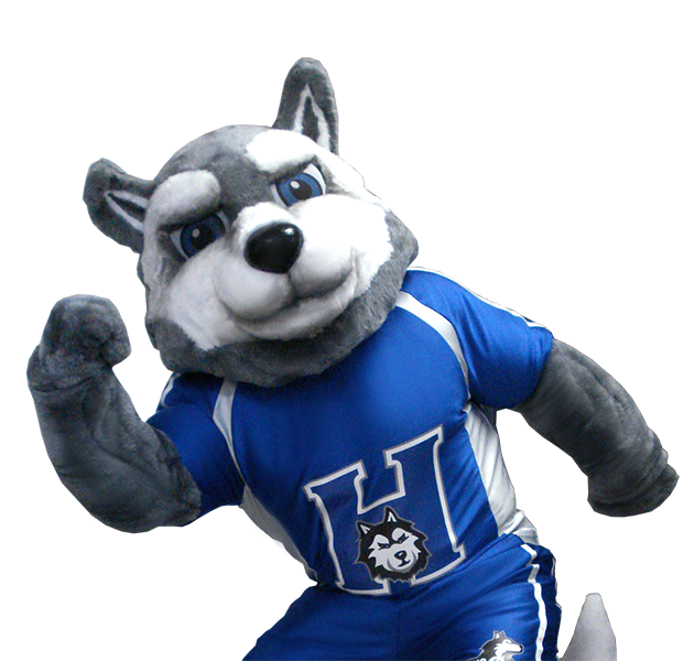 Husky Dog Custom Mascot Maker
