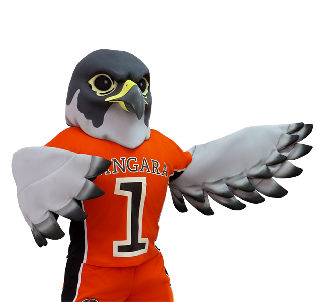 Custom Falcon Sports Mascots