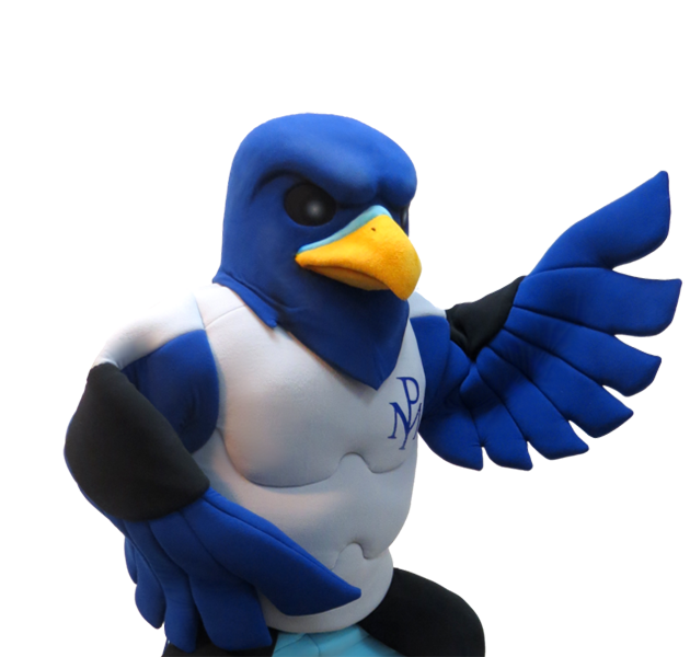 Falcon Custom Mascot Costume Maker