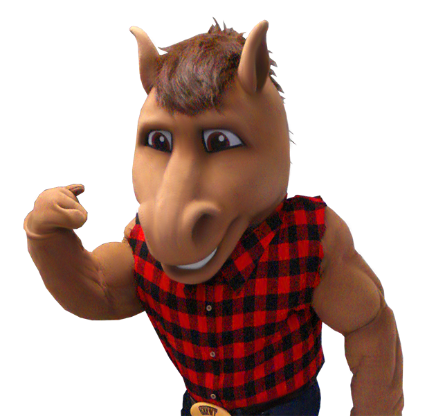 Horse Mascot Costume Manufacturer