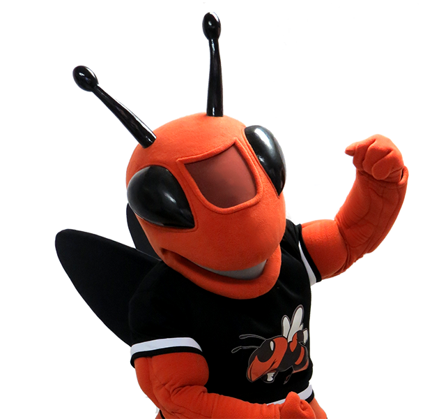 Yellowjacket wasp mascot costume