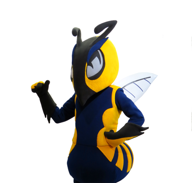 yellowjacket wasp custom mascot creator