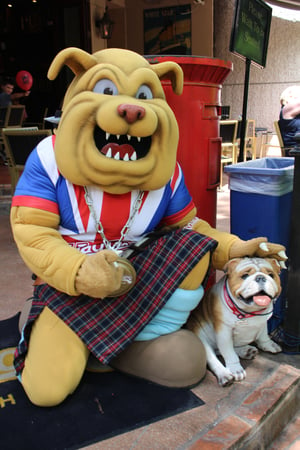 Winston the Bulldog mascot posing with a dog