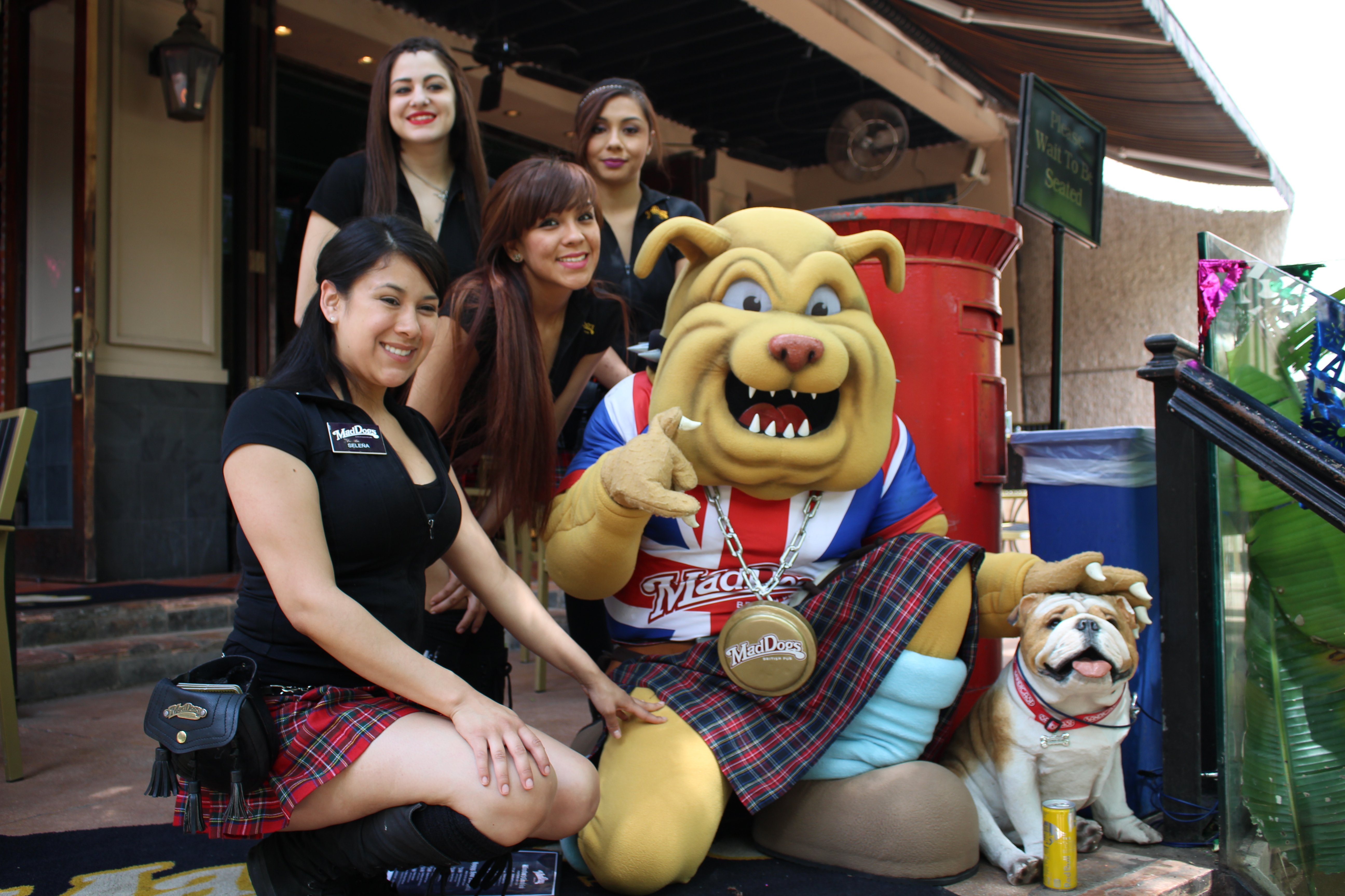 MadDogs British Pub Winston the Bulldog mascot