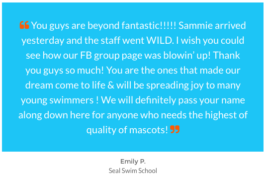 Bam Mascots Review of a Custom Mascot Costume