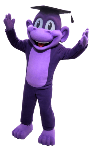 Custom Monkey Mascot 