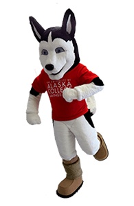 University of Alaska Husky Custom Mascot