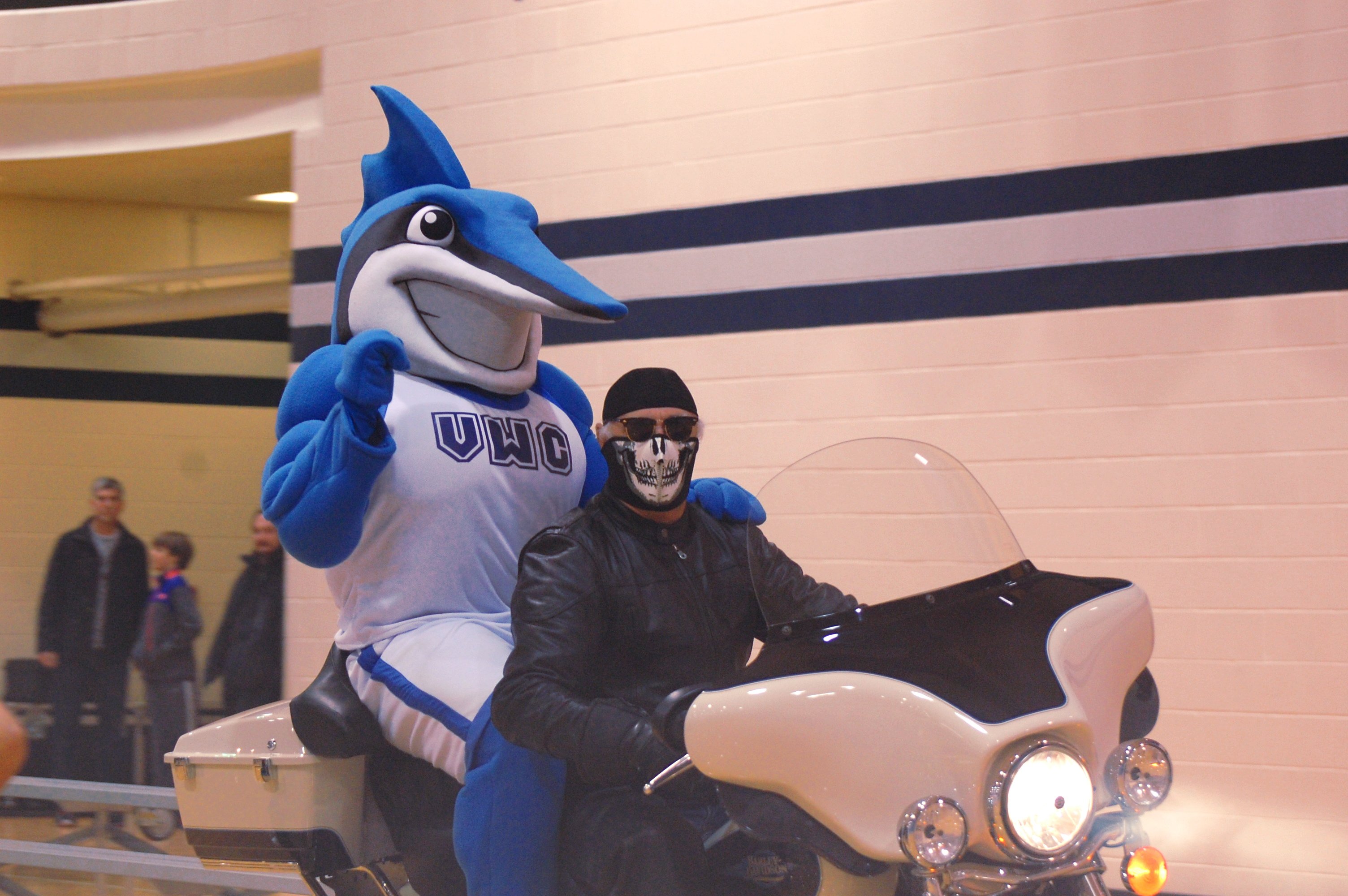 Virginia Wesleyan Bob Marlin custom mascot