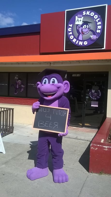 Tutoring Mascot Costume Tutoring Mascot Costume