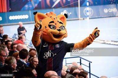 Paris St. Germain Lynx Paris St. Germain Lynx