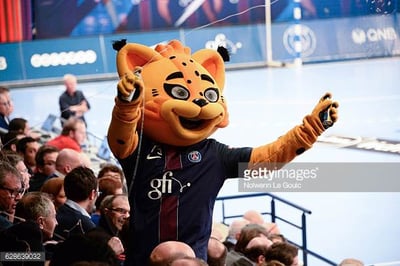 Paris St. Germain Lynx