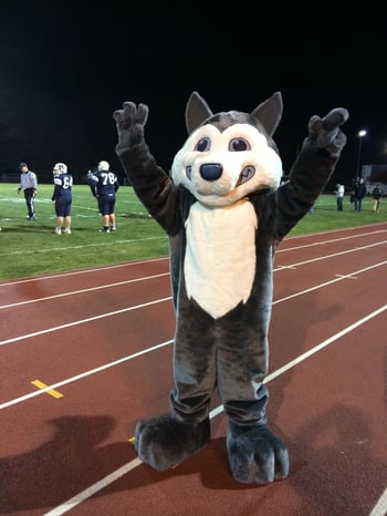 Mascot at sports event