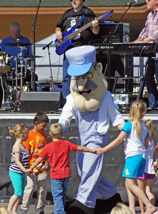 Custom mascot costumes for community events