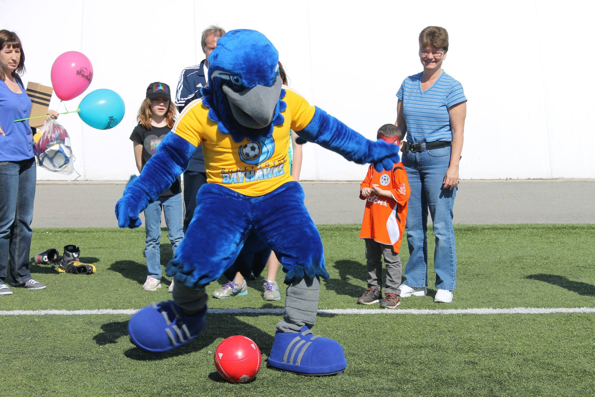 Burlington Bay Hawk Mascot Costume